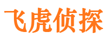 东源出轨调查